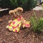 Esther Bear #2